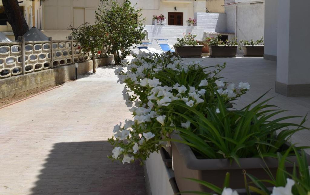 B&B Lastracu Castellammare del Golfo Exterior foto